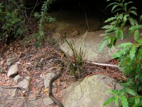 20050227-RedHill 075